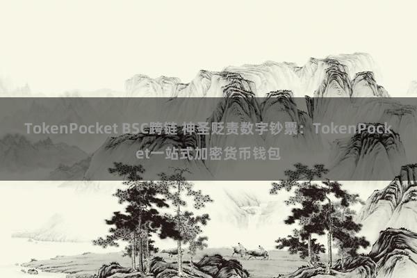 TokenPocket BSC跨链 神圣贬责数字钞票：TokenPocket一站式加密货币钱包