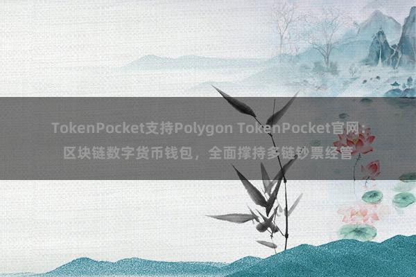 TokenPocket支持Polygon TokenPocket官网：区块链数字货币钱包，全面撑持多链钞票经管