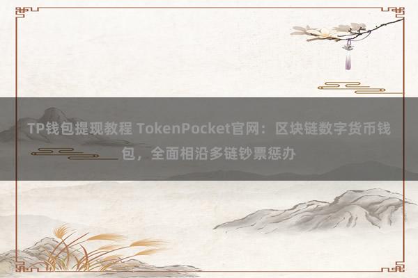 TP钱包提现教程 TokenPocket官网：区块链数字货币钱包，全面相沿多链钞票惩办