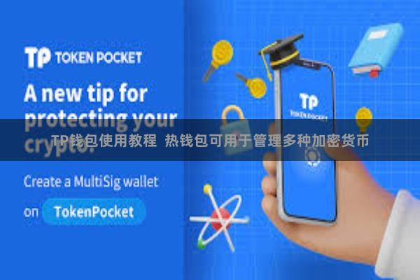 TP钱包使用教程  热钱包可用于管理多种加密货币